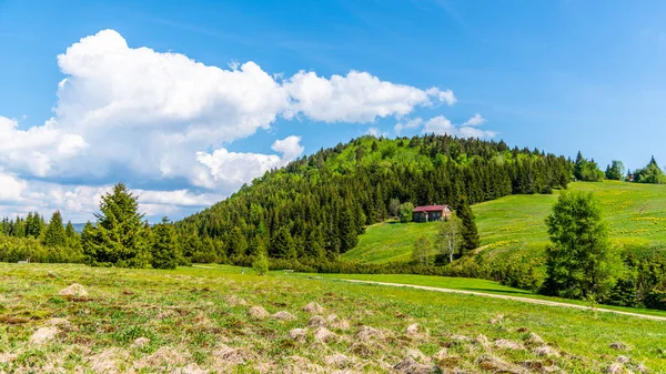 Colline de Bukovec surplombant le village de Jizerka par une journée ensoleillée d'été, montagnes de Jizera, République tchèque — Photo