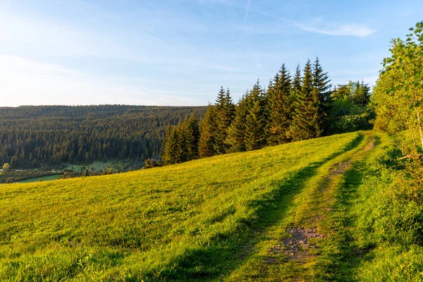 Sentier étroit dans la prairie le soir ensoleillé d'été. Paysage naturel pittoresque des montagnes de Jizera — Photo