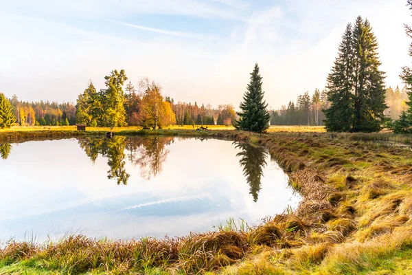Trees reflected in the pond. Kladska peat bog National Reserve near Marianske Lazne, Czech Republic — Stock Photo, Image