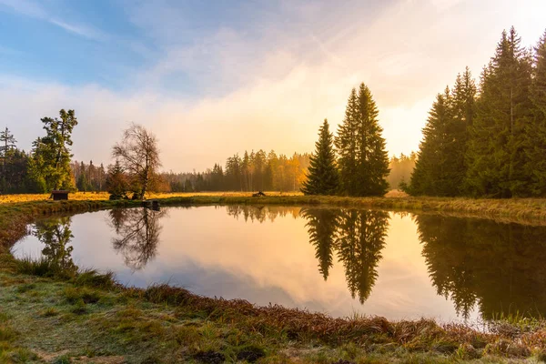 Trees reflected in the pond. Kladska peat bog National Reserve near Marianske Lazne, Czech Republic — Stock Photo, Image