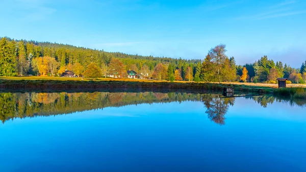 Árboles reflejados en el estanque. Reserva Nacional de turberas de Kladska cerca de Marianske Lazne, República Checa — Foto de Stock