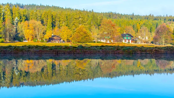 Arbres reflétés dans l'étang. Réserve nationale de tourbière Kladska près de Marianske Lazne, République tchèque — Photo