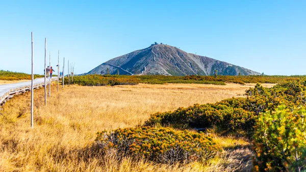 Snezka - Çek Cumhuriyeti 'nin en yüksek dağı. Krkonose Ulusal Parkı, Dev Dağlar — Stok fotoğraf