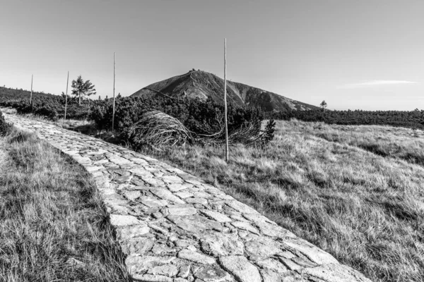 Snezka mountain and cobblestone route in Giant Mounatins, Krkonose National Park, Τσεχία — Φωτογραφία Αρχείου