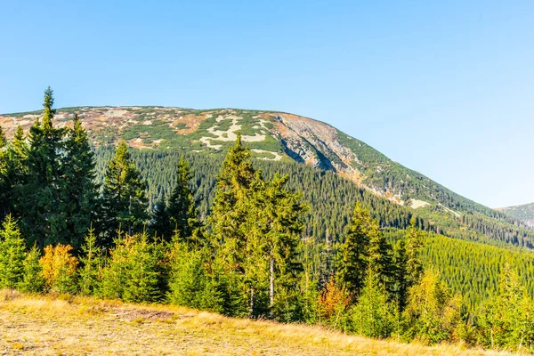 Thusinicni Mountain in het Reuzengebergte, Krkonose National Park, Tsjechië — Stockfoto