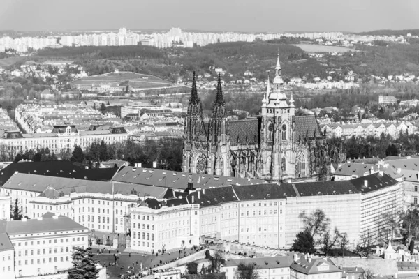 Aerial view of Prague Castle, Czech: Prazsky hrad, with Saint Vitus Cathedral. Panoramic view from Petrin lookout tower. Prague, Czech Republic — Stock Photo, Image