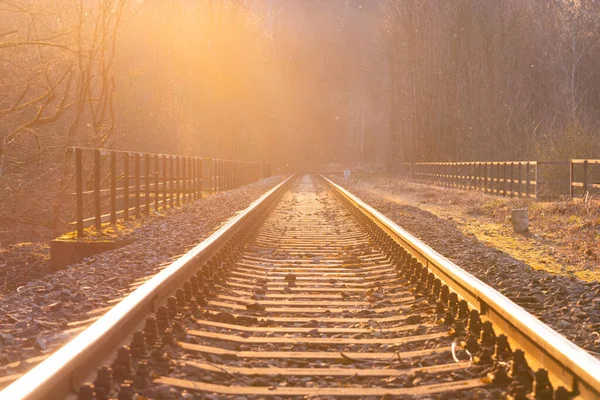 Viagem de sonho. Caminhos-de-ferro ao pôr-do-sol. Névoa de verão — Fotografia de Stock