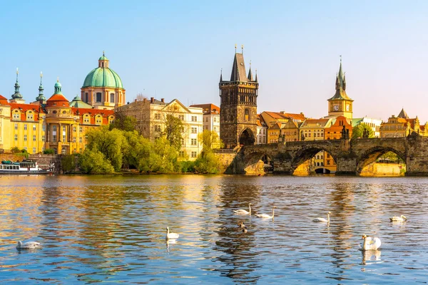 View on Charles bridge and Swans on Vltava river in Prague at sunset, Czech Republic — Stock Photo, Image