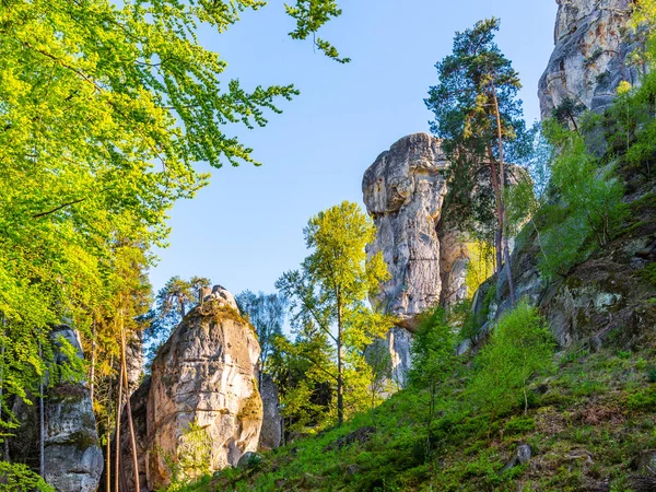 Çek Cumhuriyeti 'nin Bohemya Cenneti' ndeki Bahar Ormanı 'nda muazzam kum taşı oluşumu Cesky Raj, Çek Cumhuriyeti — Stok fotoğraf