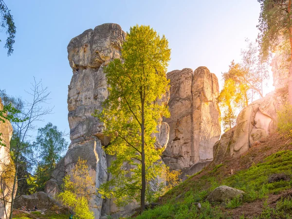 Formação monumental de rochas de arenito no meio da floresta primaveril de Bohemian Paradise, Czech: Cesky raj, Czech Republic — Fotografia de Stock