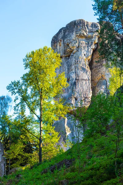 Formação monumental de rochas de arenito no meio da floresta primaveril de Bohemian Paradise, Czech: Cesky raj, Czech Republic — Fotografia de Stock