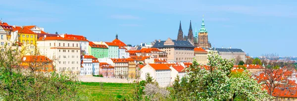 Весна в Праге. Цветущие деревья и пышная зелень в Страговских садах с Пражским градом на заднем плане. Мбаппе, Чехия — стоковое фото