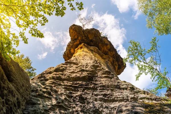 Poklicky kayaları - Çek Cumhuriyeti 'nin Kokorin Korunmuş Bölgesi' nde eşsiz kumtaşı masa oluşumu — Stok fotoğraf