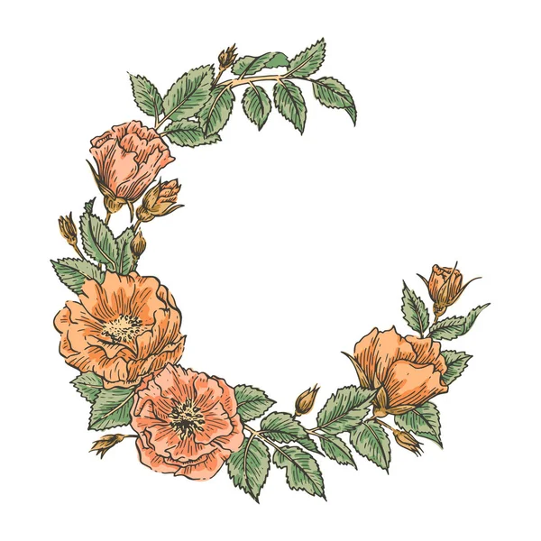 Floral handdrawn στεφάνι — Διανυσματικό Αρχείο