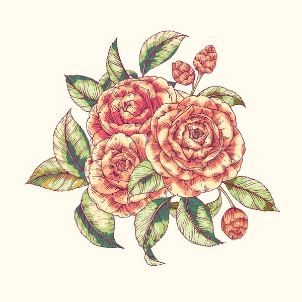 Květinové tisk camellia — Stockový vektor