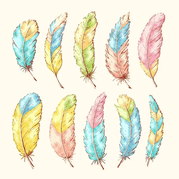 Hand drawn feathers