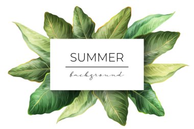 Palm Leaves afiş arkaplanı