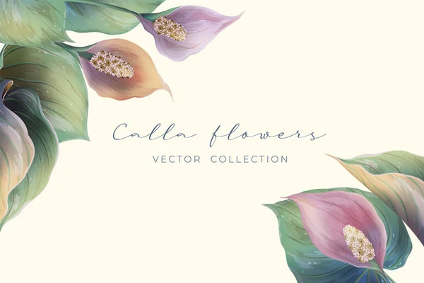 Marco con flores de cala — Archivo Imágenes Vectoriales