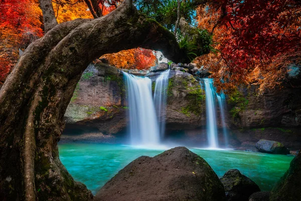 Water fall with red leaf in forest background.