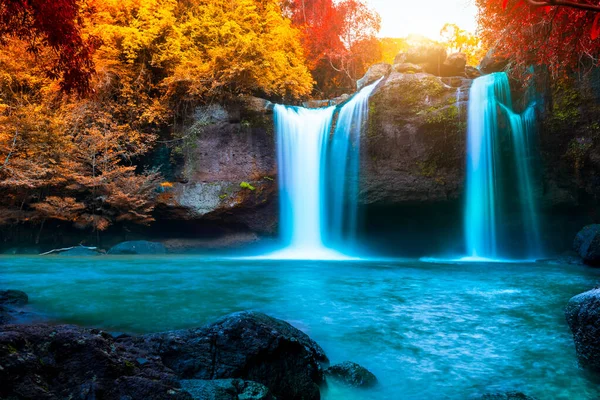 Water fall with red leaf in forest background.