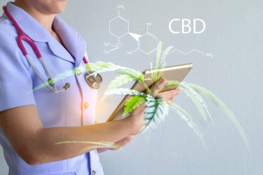 İki kez maruz kalan doktor araştırmacılar ve kenevir ağacı, tıbbi ve iş amaçlı THC ve CBN özetleri olup, laptopun tıpla ilgili yeniliklerini analiz etmektedir..