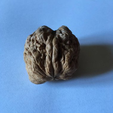 Minimalist soyut duvar kağıdı. Ceviz. Durgun hayat.