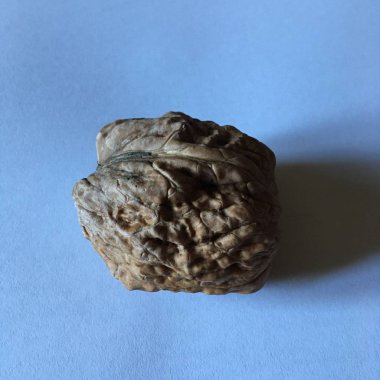 Kabartmalı kabuklu büyük ceviz. Soyut arkaplan.