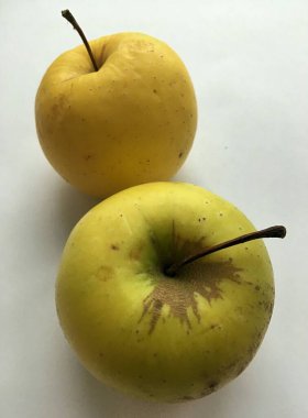 Beyaz arka planda duran olgun elmalar. Durgun hayat. Soyut vejetaryen duvar kağıdı.