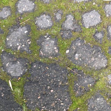 Asfalt yolu yeşil yosun ile kaplandı. Asgari soyut arkaplan.