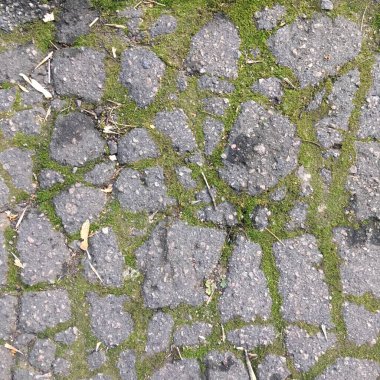 Yosun kaplı beton yol. Soyut duvar kağıdı. Minimalizm.