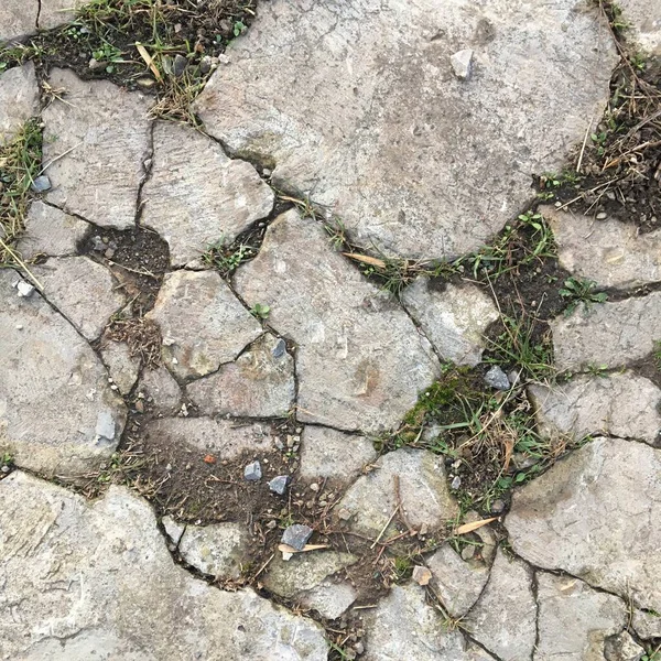 Gray cement road with large cracks. Abstract textural background.