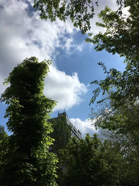 Cielo Azul Sobre Ciudad Nubes Blancas Brillantes Árboles Verdes Ciudad —  Fotos de Stock