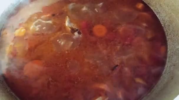 Tasty spicy red soup boils in a cauldron. — Stock Video