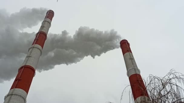Заводські Димоходи Вивільняють Дим Атмосферу Забруднюють Навколишнє Середовище Похмурий День — стокове відео