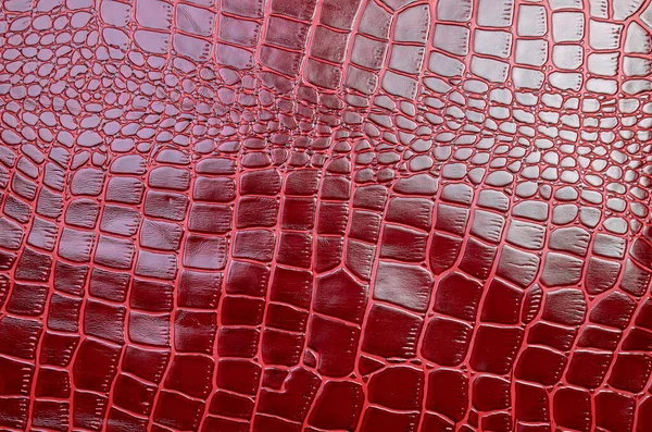 Textur für Hintergrund rotes Leder Krokodil glänzende Ansicht von oben lizenzfreie Stockbilder
