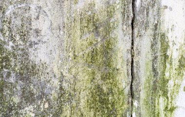 eski tuğla duvar, tasarım için hazır düzen