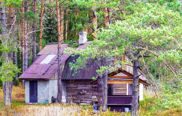 Sauna Dans Forêt Près Rivière — Photo