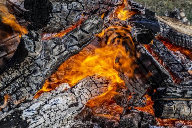 Odunlar için sıcak ateş, barbekü için kömür. Seçici odak