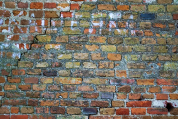 brick wall, selective focus with shallow depth of field, warm filter