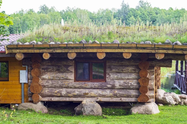 Chalet Dans Forêt Près Rivière — Photo