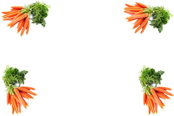 Légumes Frais Isolés Sur Fond Blanc — Photo