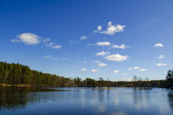 Paisagem Lago Verão — Fotografia de Stock