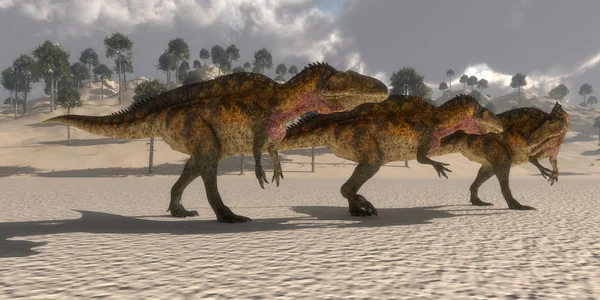 Acrocanthosaurus Dinosaurs in Desert — Stock Photo, Image