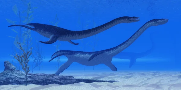Рептилии плезиозавра Юрского — стоковое фото