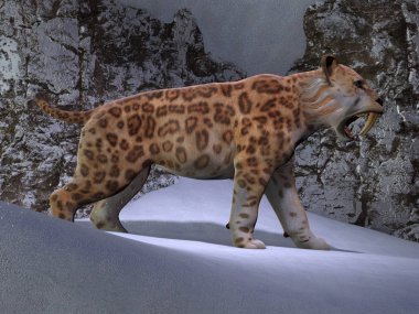 Saber-toothed Cat Mountain clipart