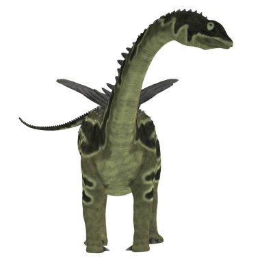 Agustinia dinozor beyaz