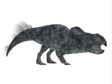 Protoceratops dinozor yan profili