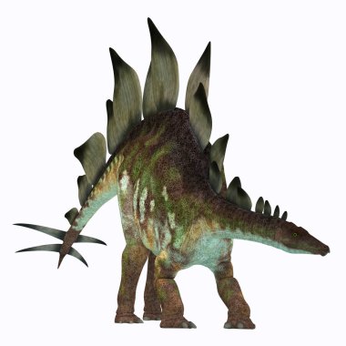 Stegosaurus dinozor beyaz