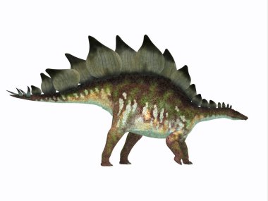 Stegosaurus dinozor yan profili