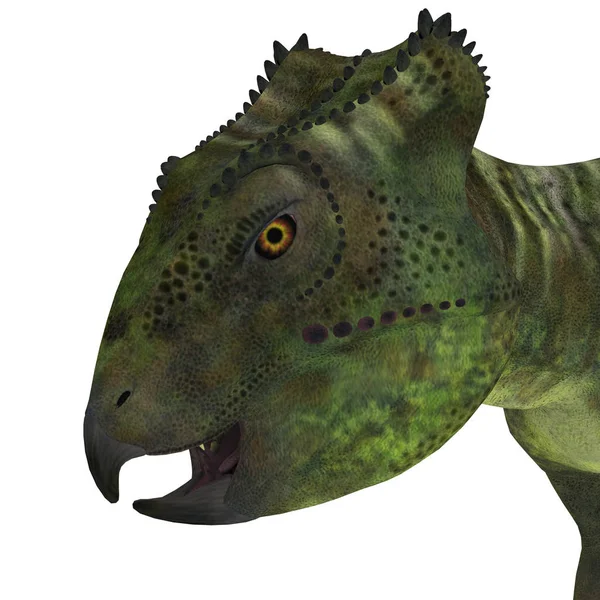 Archaeoceratops dinosaurie huvud — Stockfoto